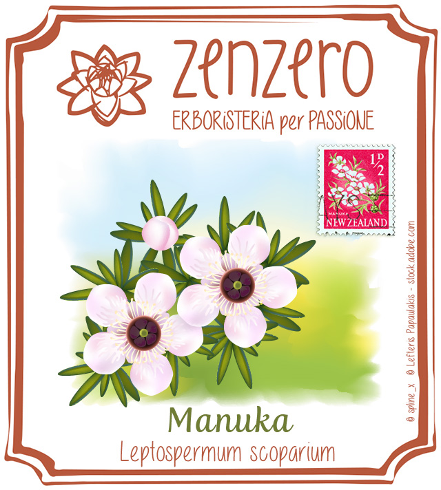 Foglie, fiori di Manuka e il francobollo commemorativo Neozelandese